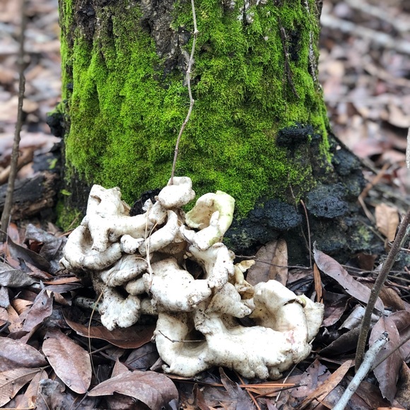 Meet your Posher, Tasha - Picture 16 of 16